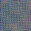 Animal-Collective