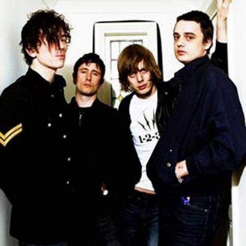 Babyshambles banned from festival
