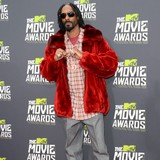 Snoop-Lion-andegrave;-contro-le-armi